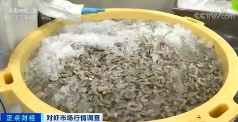 這種海鮮賣爆了！價格竟然腰斬！你買過了嗎？